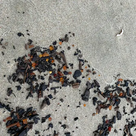 Janosikowka Restauracja Kąty Rybackie