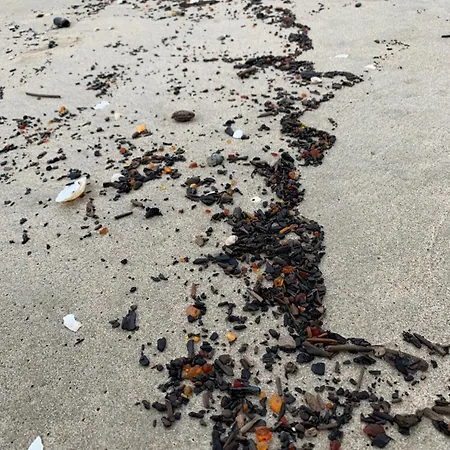 ゲストハウス Janosikowka Restauracja Kąty Rybackie